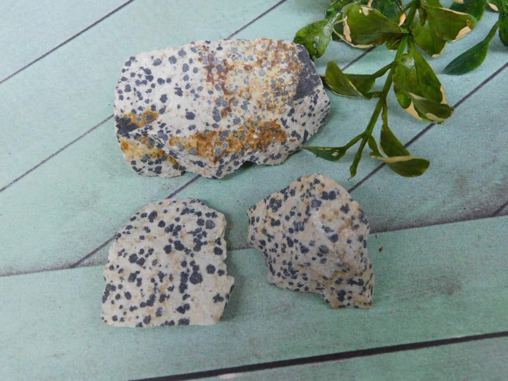 DALMATION JASPER ROCK STONE LAPIDARY SPECIMEN: DALMATION JASPER ROCK STONE LAPIDARY SPECIMEN - Part of our Discover Golden Attic, Crystals and Gems auction at HATMAN'S Auctions! Please see photos for measurements and condition. YES, we have in-hou