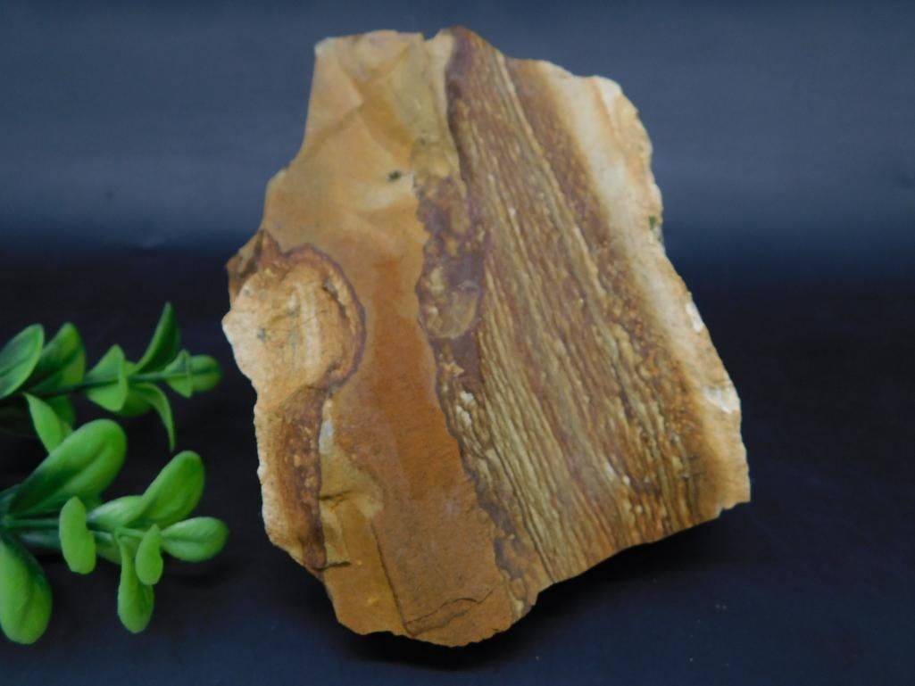 JASPER ROCK STONE LAPIDARY SPECIMEN: JASPER ROCK STONE LAPIDARY SPECIMEN - Part of our Discover Golden Attic, Crystals and Gems auction at HATMAN'S Auctions! Please see photos for measurements and condition. YES, we have in-house shippin