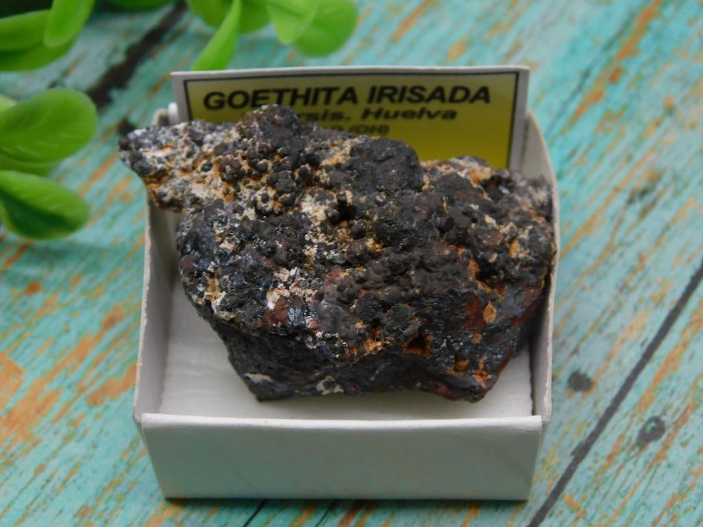 PANASQUIERA MINE PORTUGAL ROCK STONE LAPIDARY SPECIMEN: PANASQUIERA MINE PORTUGAL ROCK STONE LAPIDARY SPECIMEN - Part of our Discover Twilight Bazaar, Crystals and Gems auction at HATMAN'S Auctions! Please see photos for measurements and condition. YES, we