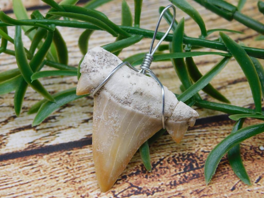 SHARK TOOTH PENDANT ROCK STONE LAPIDARY SPECIMEN: SHARK TOOTH PENDANT ROCK STONE LAPIDARY SPECIMEN - Part of our Discover Silver Lining, Crystals and Gems auction at HATMAN'S Auctions! Please see photos for measurements and condition. YES, we have in