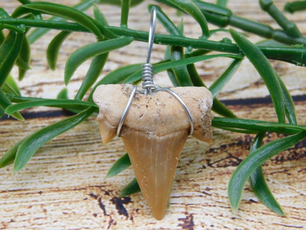 SHARK TOOTH PENDANT ROCK STONE LAPIDARY SPECIMEN: SHARK TOOTH PENDANT ROCK STONE LAPIDARY SPECIMEN - Part of our Discover Silver Lining, Crystals and Gems auction at HATMAN'S Auctions! Please see photos for measurements and condition. YES, we have in