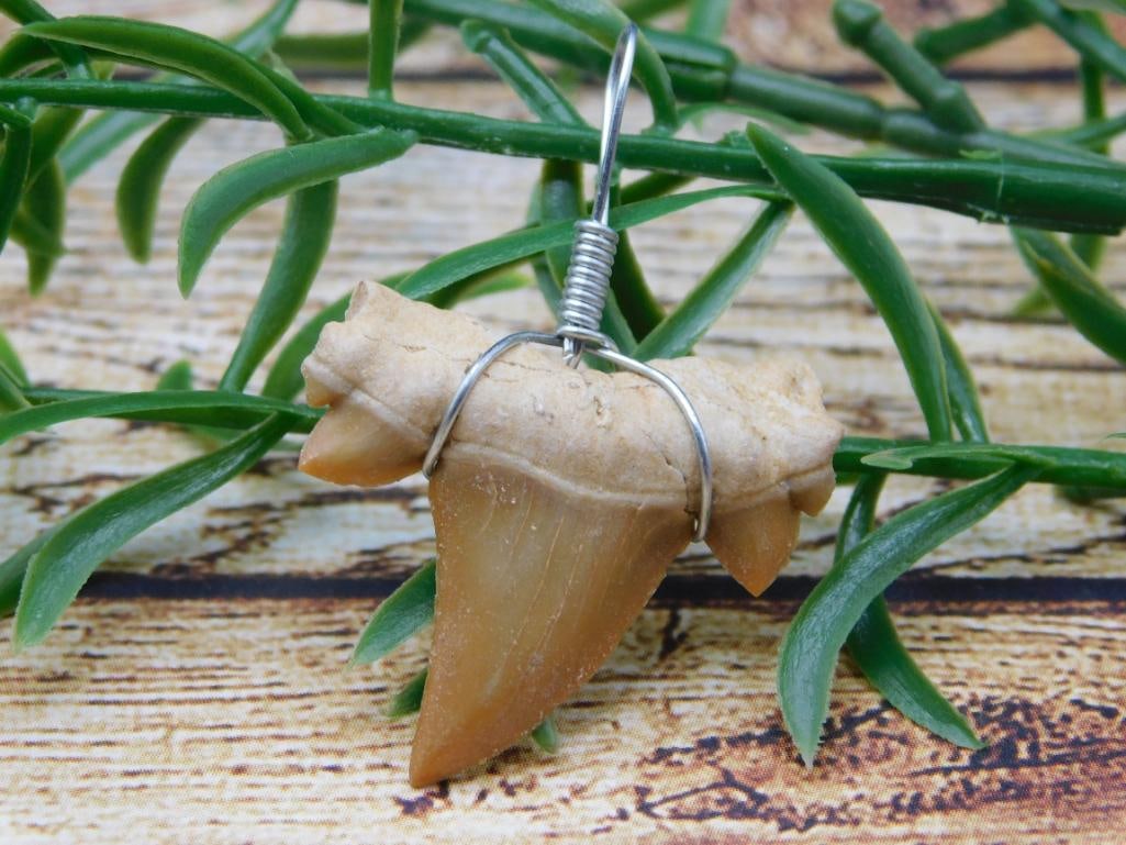 SHARK TOOTH PENDANT ROCK STONE LAPIDARY SPECIMEN: SHARK TOOTH PENDANT ROCK STONE LAPIDARY SPECIMEN - Part of our Discover Silver Lining, Crystals and Gems auction at HATMAN'S Auctions! Please see photos for measurements and condition. YES, we have in