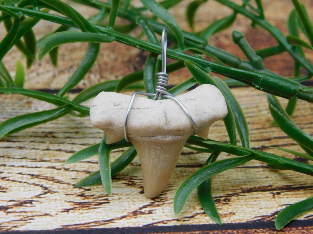 SHARK TOOTH PENDANT ROCK STONE LAPIDARY SPECIMEN: SHARK TOOTH PENDANT ROCK STONE LAPIDARY SPECIMEN - Part of our Discover Silver Lining, Crystals and Gems auction at HATMAN'S Auctions! Please see photos for measurements and condition. YES, we have in