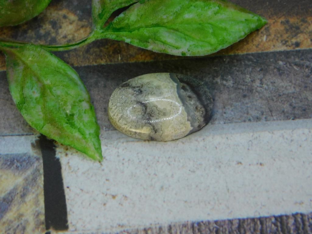 CABOCHON ROCK STONE LAPIDARY SPECIMEN: CABOCHON ROCK STONE LAPIDARY SPECIMEN - Authentic estate find offered in our online auction. Perfect for collectors, resellers, and enthusiasts of vintage, antiques, minerals, rocks, crystals,