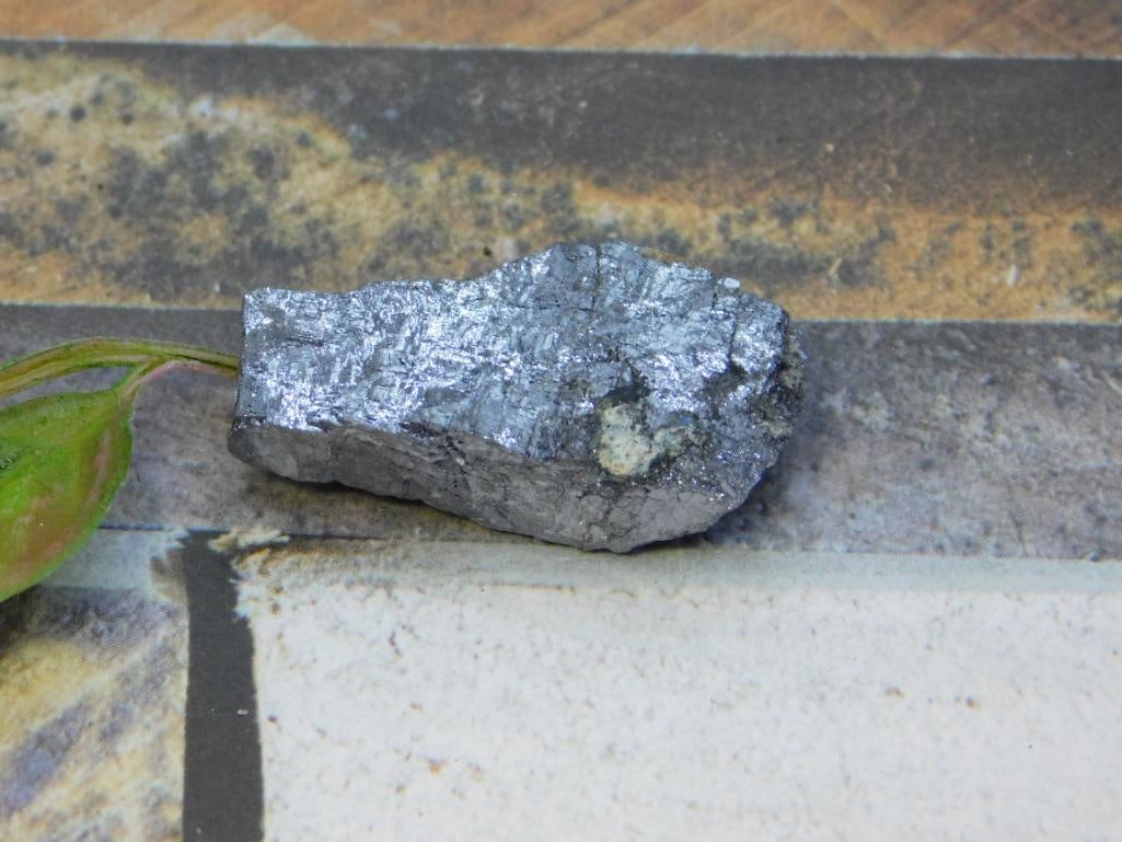 GALENA ROCK STONE LAPIDARY SPECIMEN: GALENA ROCK STONE LAPIDARY SPECIMEN - Authentic estate find offered in our online auction. Perfect for collectors, resellers, and enthusiasts of vintage, antiques, minerals, rocks, crystals, jewelry, 