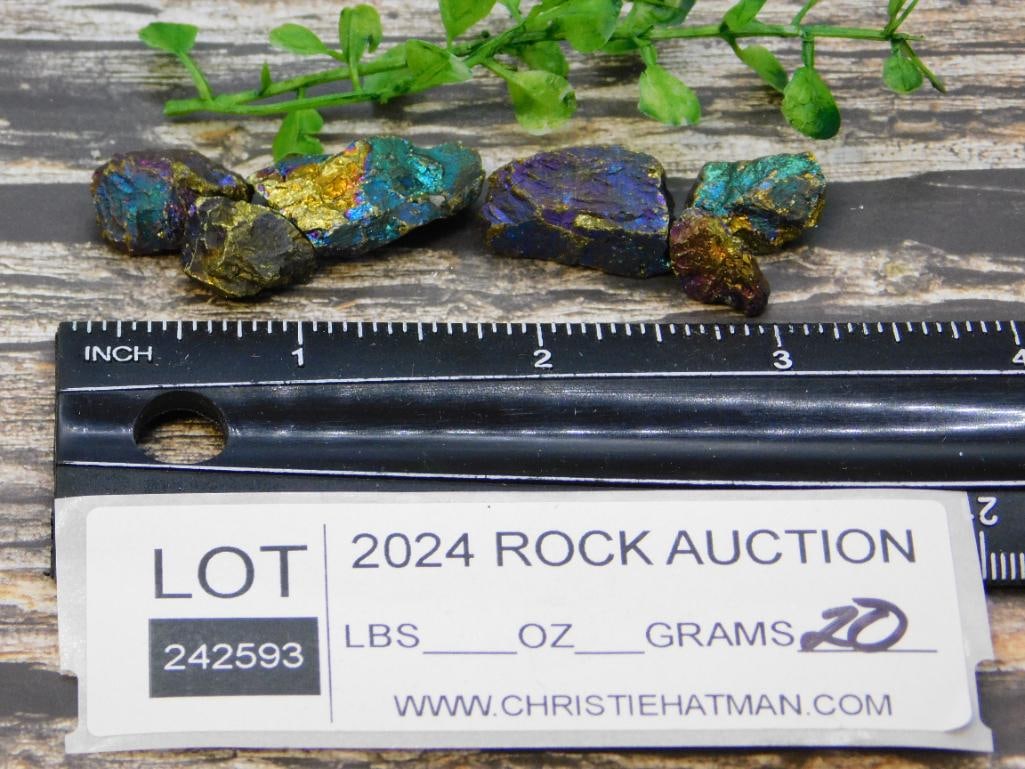 PEACOCK ORE ROCK STONE LAPIDARY SPECIMEN: PEACOCK ORE ROCK STONE LAPIDARY SPECIMEN - Authentic estate find offered in our online auction. Perfect for collectors, resellers, and enthusiasts of vintage, antiques, minerals, rocks, crystals, jewe
