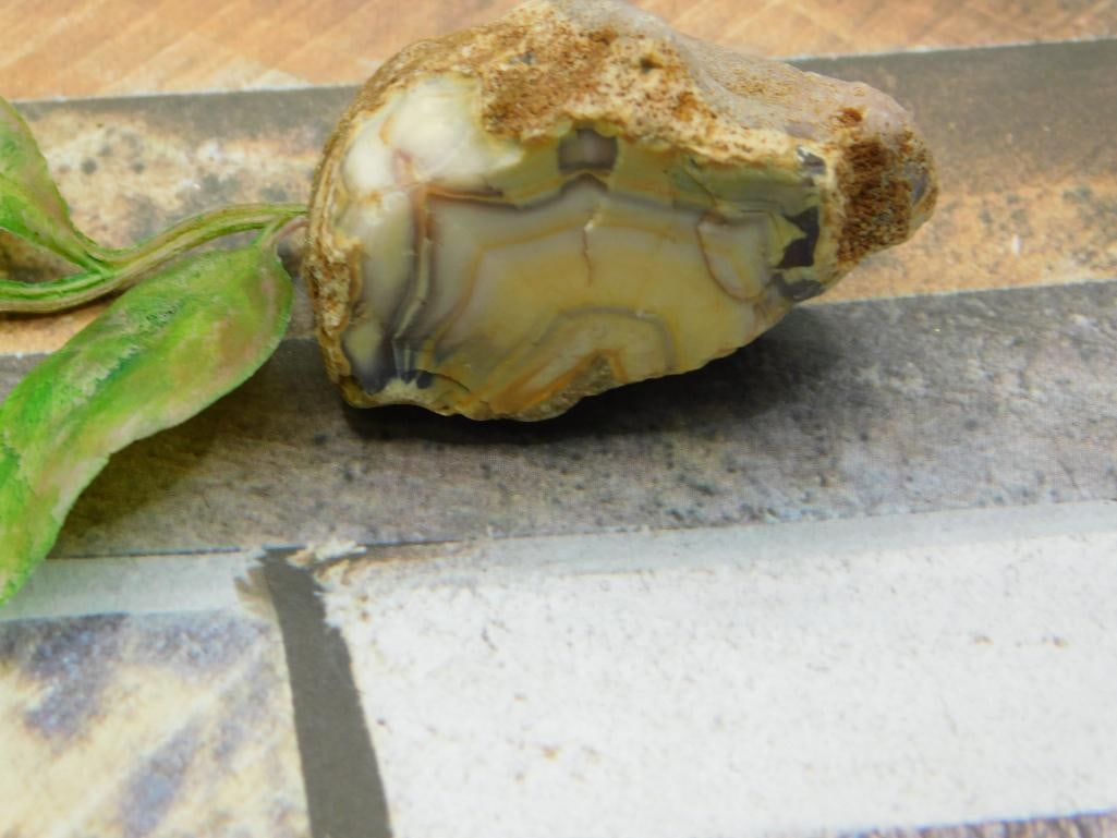 ROCK STONE LAPIDARY SPECIMEN: ROCK STONE LAPIDARY SPECIMEN - Authentic estate find offered in our online auction. Perfect for collectors, resellers, and enthusiasts of vintage, antiques, minerals, rocks, crystals, jewelry, and rar