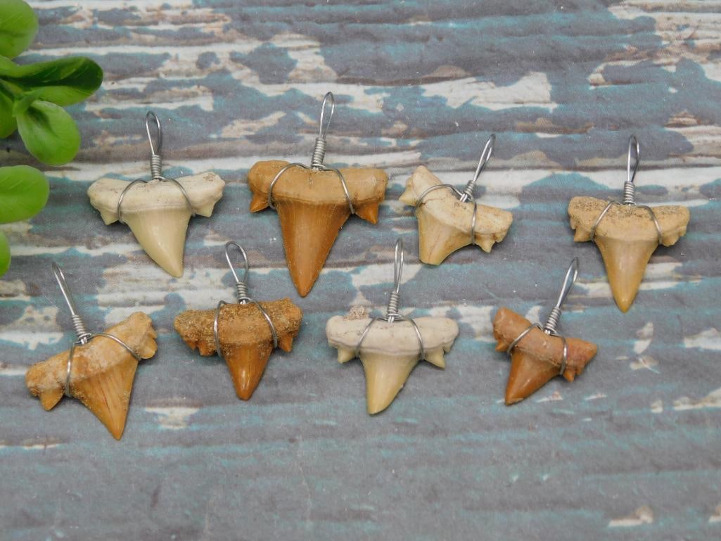 SHARK TEETH PENDANTS ROCK STONE LAPIDARY SPECIMEN: SHARK TEETH PENDANTS ROCK STONE LAPIDARY SPECIMEN - Authentic estate find offered in our online auction. Perfect for collectors, resellers, and enthusiasts of vintage, antiques, minerals, rocks, cryst