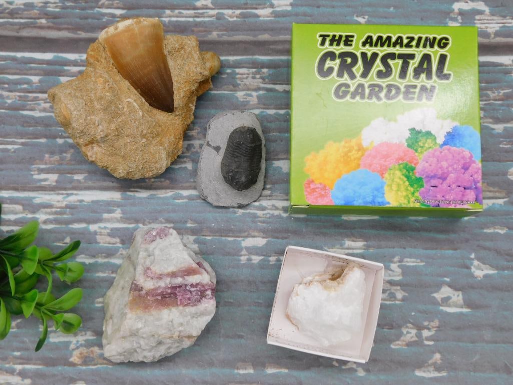 MIXED LOT ROCK STONE LAPIDARY SPECIMEN: MIXED LOT ROCK STONE LAPIDARY SPECIMEN - Authentic estate find offered in our online auction. Perfect for collectors, resellers, and enthusiasts of vintage, antiques, minerals, rocks, crystals, jewelr