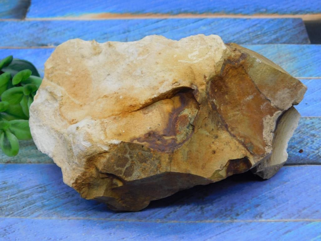 JASPER ROCK STONE LAPIDARY SPECIMEN: JASPER ROCK STONE LAPIDARY SPECIMEN - Authentic estate find offered in our online auction. Perfect for collectors, resellers, and enthusiasts of vintage, antiques, minerals, rocks, crystals, jewelry,