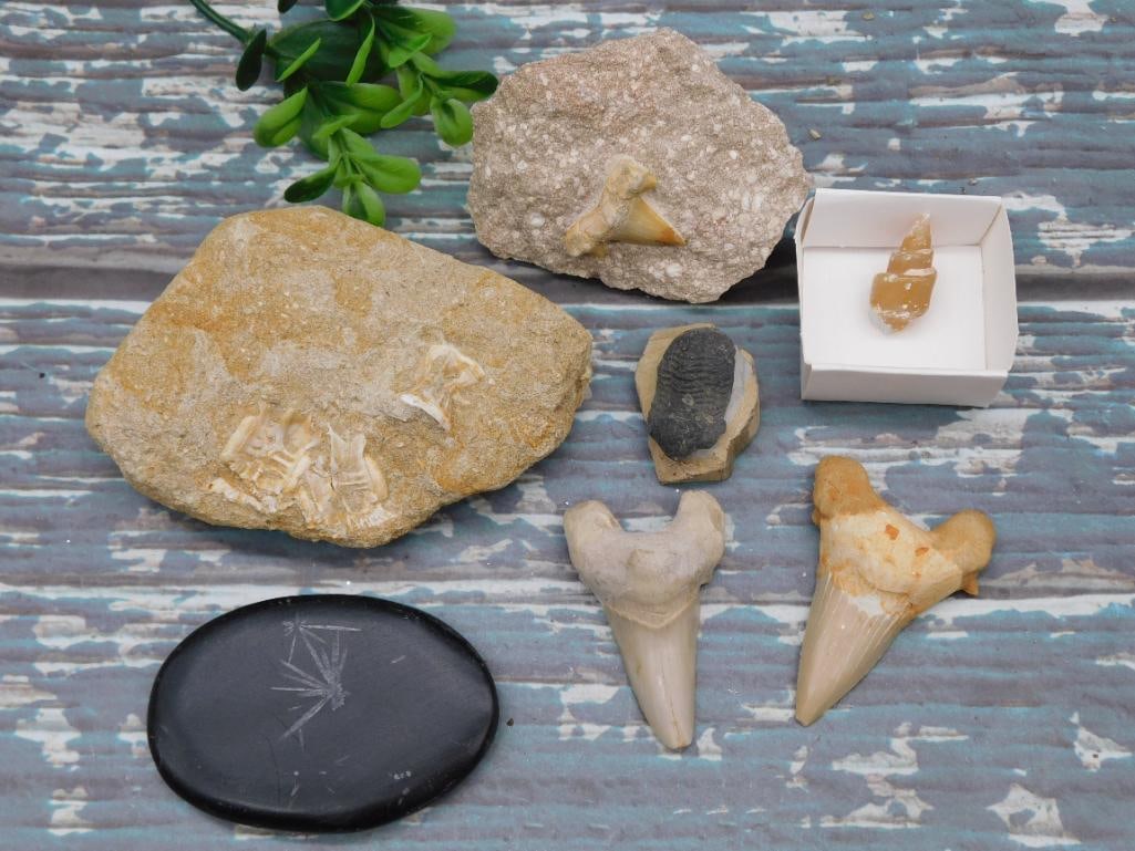 MIXED LOT ROCK STONE LAPIDARY SPECIMEN: MIXED LOT ROCK STONE LAPIDARY SPECIMEN - Authentic estate find offered in our online auction. Perfect for collectors, resellers, and enthusiasts of vintage, antiques, minerals, rocks, crystals, jewelr