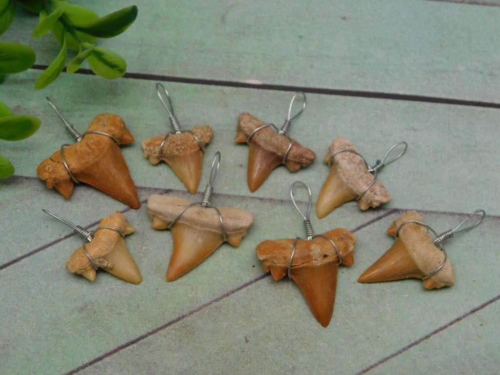 SHARK TEETH PENDANTS ROCK STONE LAPIDARY SPECIMEN: SHARK TEETH PENDANTS ROCK STONE LAPIDARY SPECIMEN - Authentic estate find offered in our online auction. Perfect for collectors, resellers, and enthusiasts of vintage, antiques, minerals, rocks, cryst