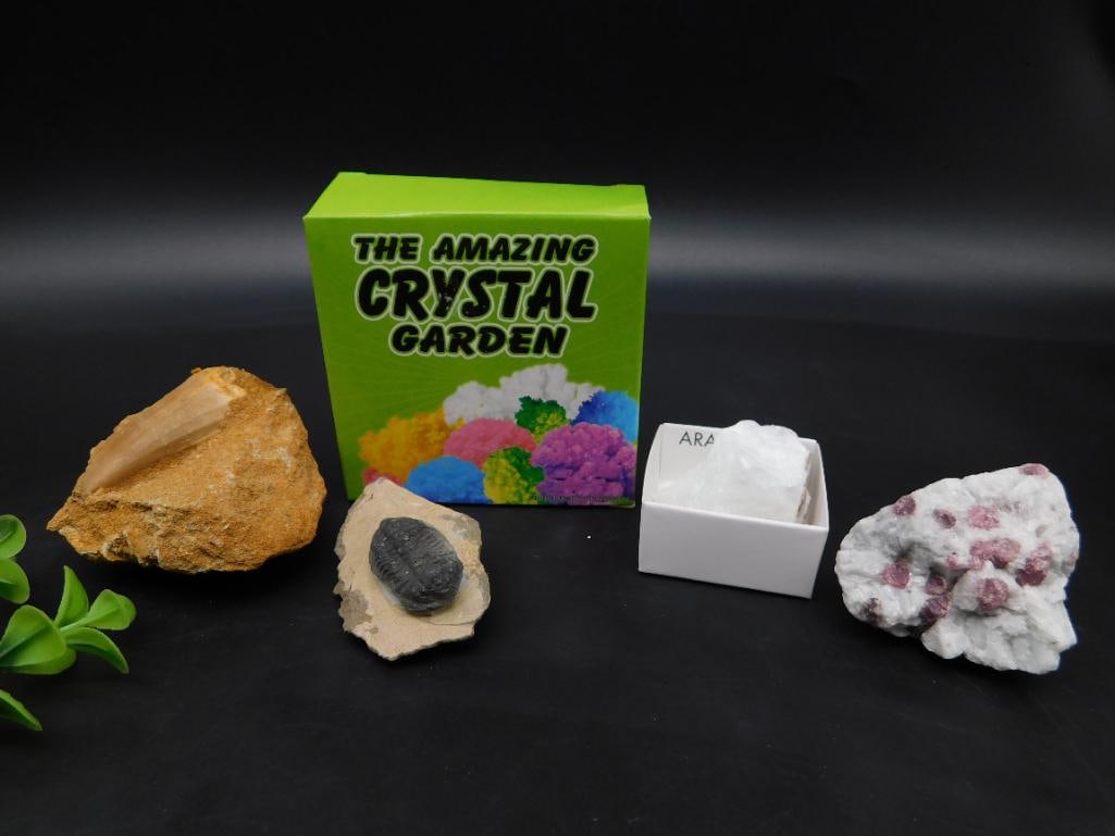 MIXED LOT ROCK STONE LAPIDARY SPECIMEN: MIXED LOT ROCK STONE LAPIDARY SPECIMEN - Authentic estate find offered in our online auction. Perfect for collectors, resellers, and enthusiasts of vintage, antiques, minerals, rocks, crystals, jewelr