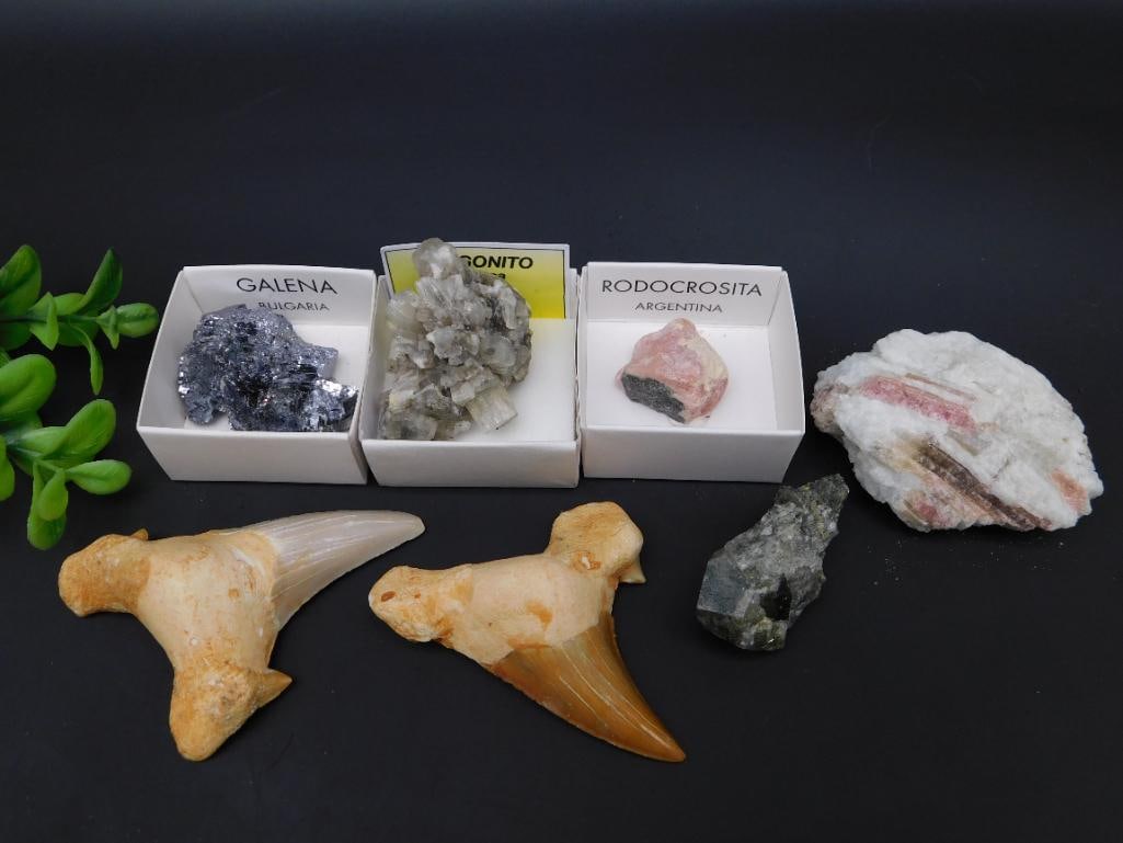 MIXED LOT ROCK STONE LAPIDARY SPECIMEN: MIXED LOT ROCK STONE LAPIDARY SPECIMEN - Authentic estate find offered in our online auction. Perfect for collectors, resellers, and enthusiasts of vintage, antiques, minerals, rocks, crystals,