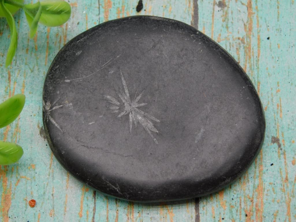 CHRYSANTHEMUM ROCK STONE LAPIDARY SPECIMEN: CHRYSANTHEMUM ROCK STONE LAPIDARY SPECIMEN - Authentic estate find offered in our online auction. Perfect for collectors, resellers, and enthusiasts of vintage, antiques, minerals, rocks, crystals,