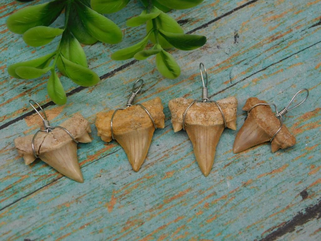 SHARK TEETH PENDANTS SET OF 4: SHARK TEETH PENDANTS SET OF 4 ROCK STONE LAPIDARY SPECIMEN
