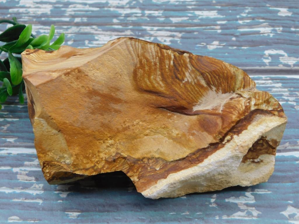 JASPER ROCK STONE LAPIDARY SPECIMEN: JASPER ROCK STONE LAPIDARY SPECIMEN — Part of our Discover Mystic Finds, Crystals and Gems auction at HATMAN'S Auctions! Please see photos for measurements and condition. YES, we have in-house shipp