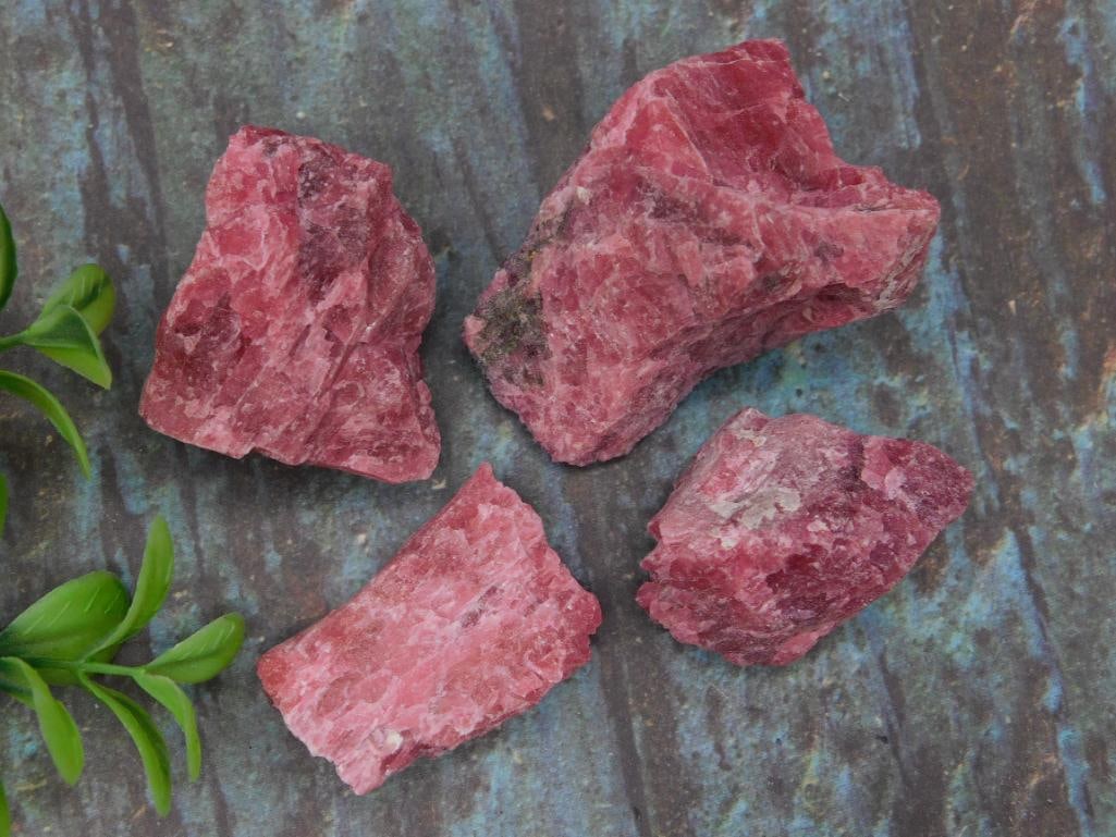 Gem Rhodonite Rock Stone Lapidary Specimen: Gem Rhodonite Rock Stone Lapidary Specimen - Four raw gem rhodonite rocks with rough textures and natural appearances. Includes varied sizes, as shown with a coin for scale. These stones are suitable 