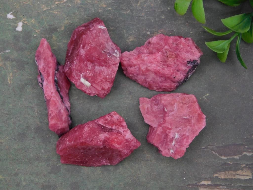 Gem Rhodonite Rock Stone Lapidary Specimen: Gem Rhodonite Rock Stone Lapidary Specimen - ? Includes five pieces of red mineral specimens, unpolished and in raw form. | ? Varied sizes and shapes, each unique with natural patterns and textures.