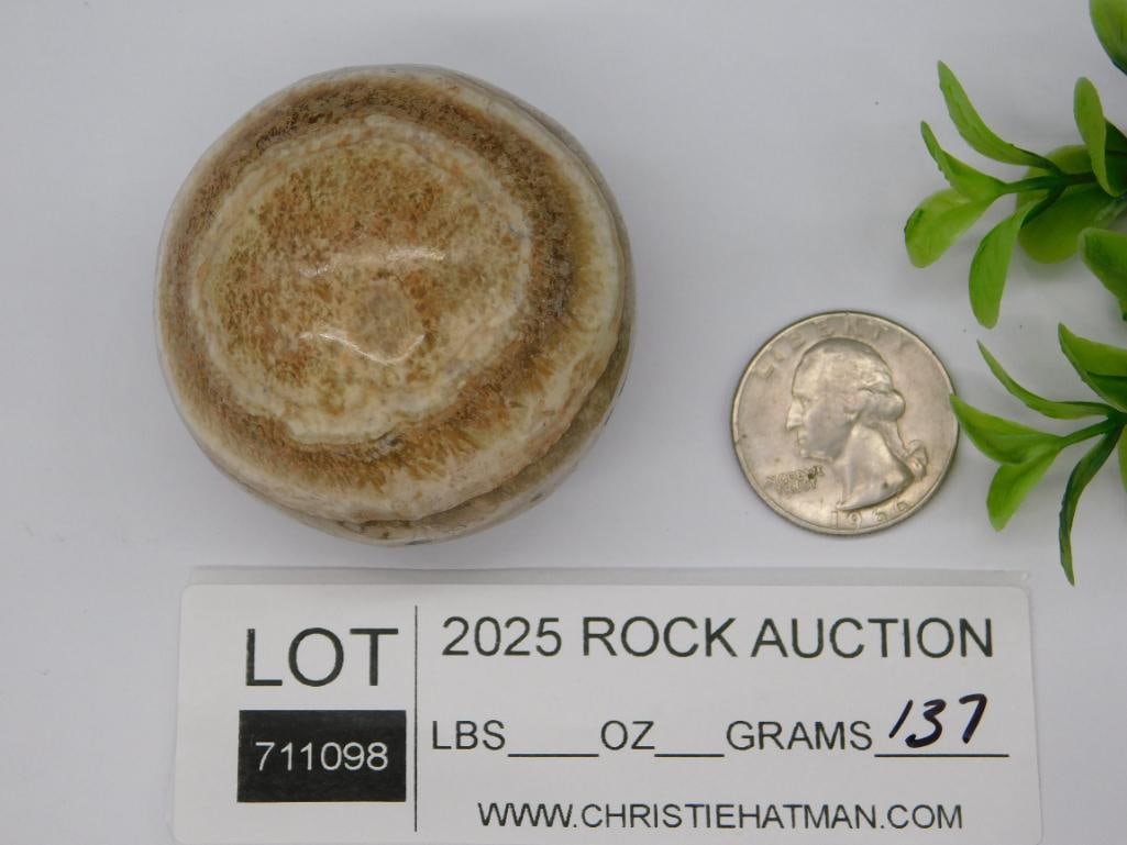 Banded Jasper Sphere ROCK STONE LAPIDARY SPECIMEN (1 of 1)