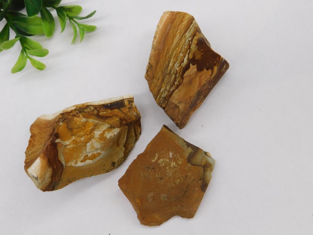 Jasper Rock Stone Lapidary Specimen: Jasper Rock Stone Lapidary Specimen - Part of our Discover Gilded Gallery, Crystals and Gems auction at HATMAN'S Auctions! Please see photos for measurements and condition. YES, we have in-house