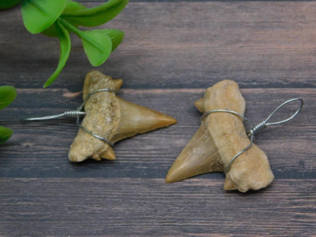 SHARK TEETH PENDANTS ROCK STONE LAPIDARY SPECIMEN: SHARK TEETH PENDANTS ROCK STONE LAPIDARY SPECIMEN - Part of our Discover Golden Attic, Crystals and Gems auction at HATMAN'S Auctions! Please see photos for measurements and condition. YES, we have