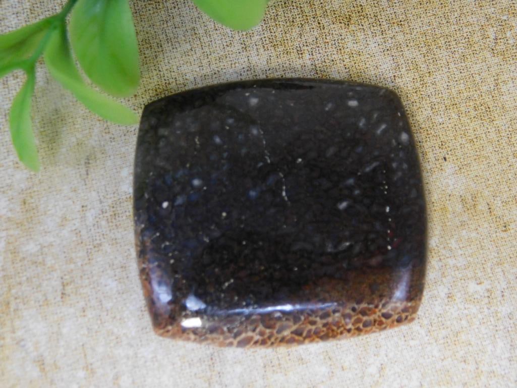 CABOCHON ROCK STONE LAPIDARY SPECIMEN (1 of 2)