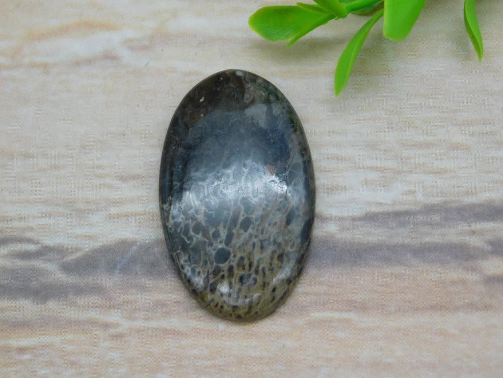CABOCHON ROCK STONE LAPIDARY SPECIMEN: WELCOME TO HATMAN AUCTIONS! SPECIAL NOTICE: Please see photos for measurements and descriptions. ***Yes, we have in house shipping with MANY REPEAT CUSTOMERS because of our streamlined service. ****We