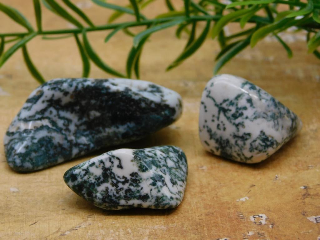 TREE AGATE ROCK STONE LAPIDARY SPECIMEN (1 of 2)