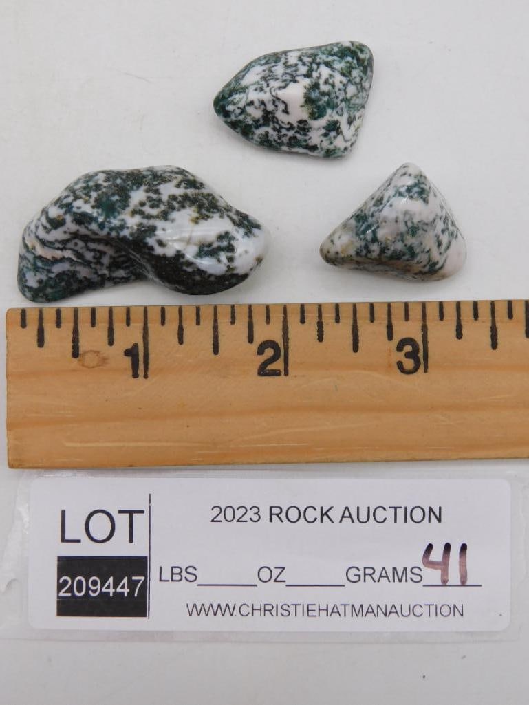 TREE AGATE ROCK STONE LAPIDARY SPECIMEN - 2