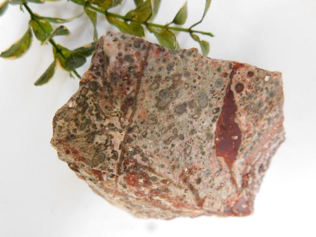 LEOPARD SKIN JASPER ROCK STONE LAPIDARY SPECIMEN: WELCOME TO HATMAN AUCTIONS! SPECIAL NOTICE: Please see photos for measurements and descriptions. ***Yes, we have in house shipping with MANY REPEAT CUSTOMERS because of our streamlined service. ****We