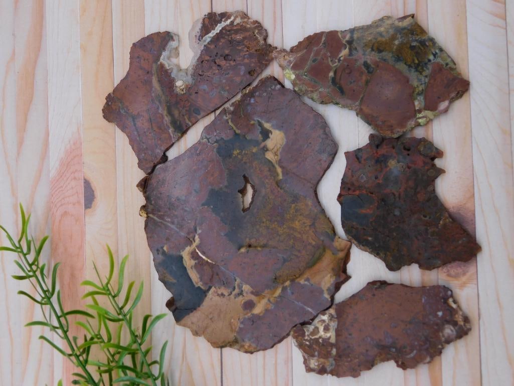 SLABS ROCK STONE LAPIDARY SPECIMEN: WELCOME TO HATMAN AUCTIONS! SPECIAL NOTICE: Please see photos for measurements and descriptions. ***Yes, we have in house shipping with MANY REPEAT CUSTOMERS because of our streamlined service.