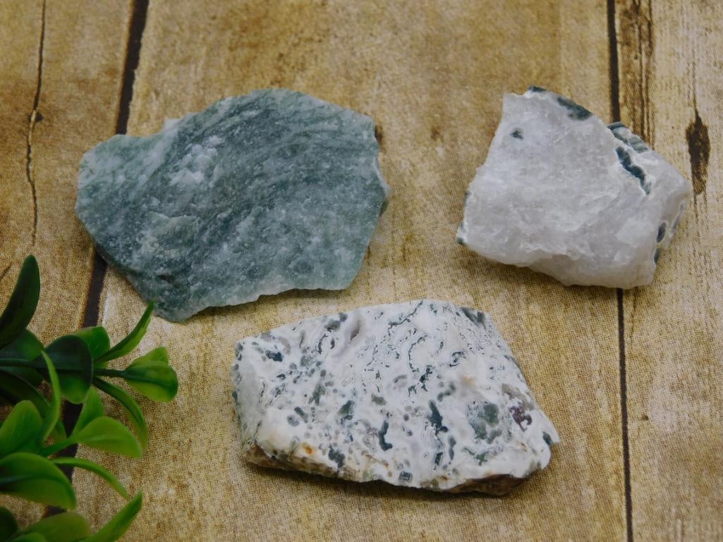 TREE AGATE ROCK STONE LAPIDARY SPECIMEN (1 of 2)