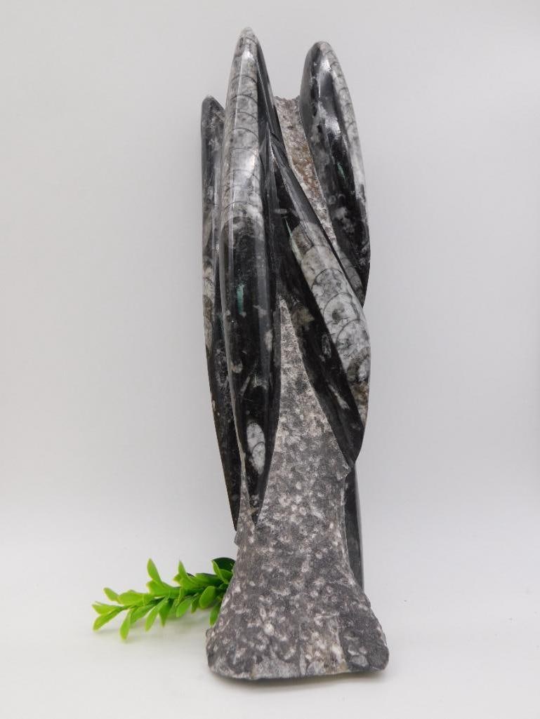 ORTHOCERAS STATUE ROCK STONE LAPIDARY SPECIMEN (1 of 2)
