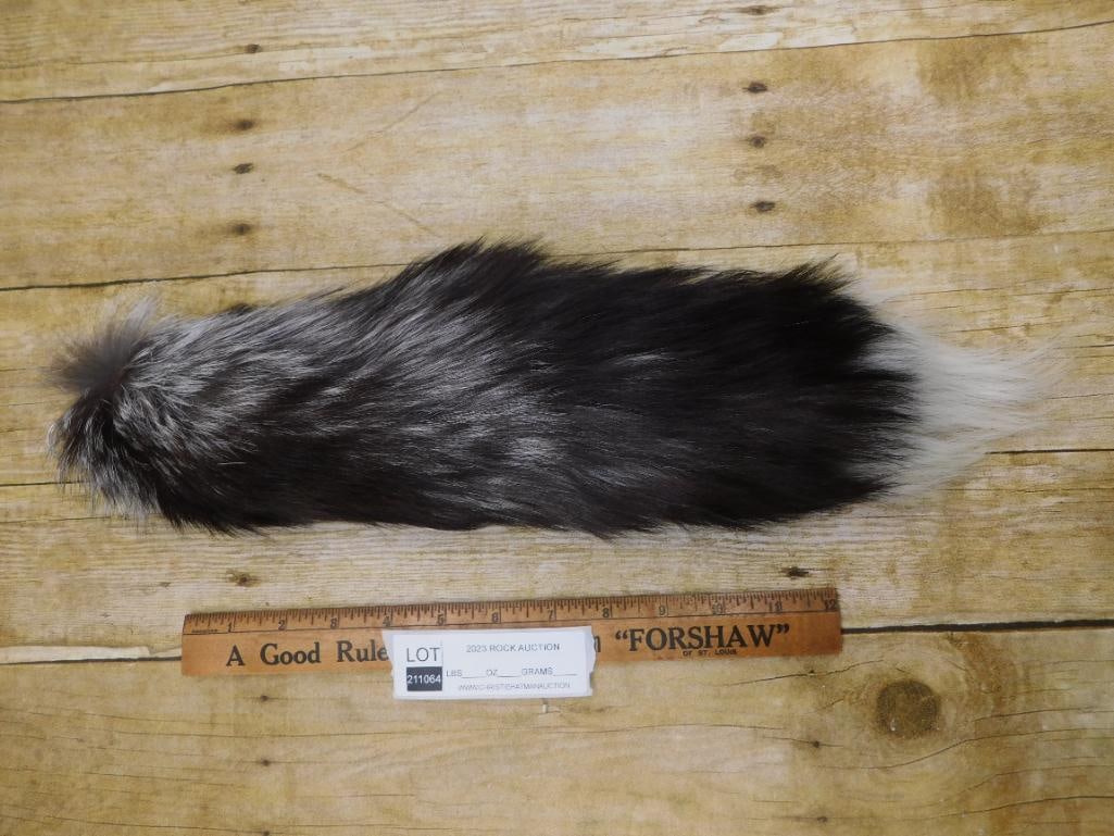 FOX TAIL TAXIDERMY - 2