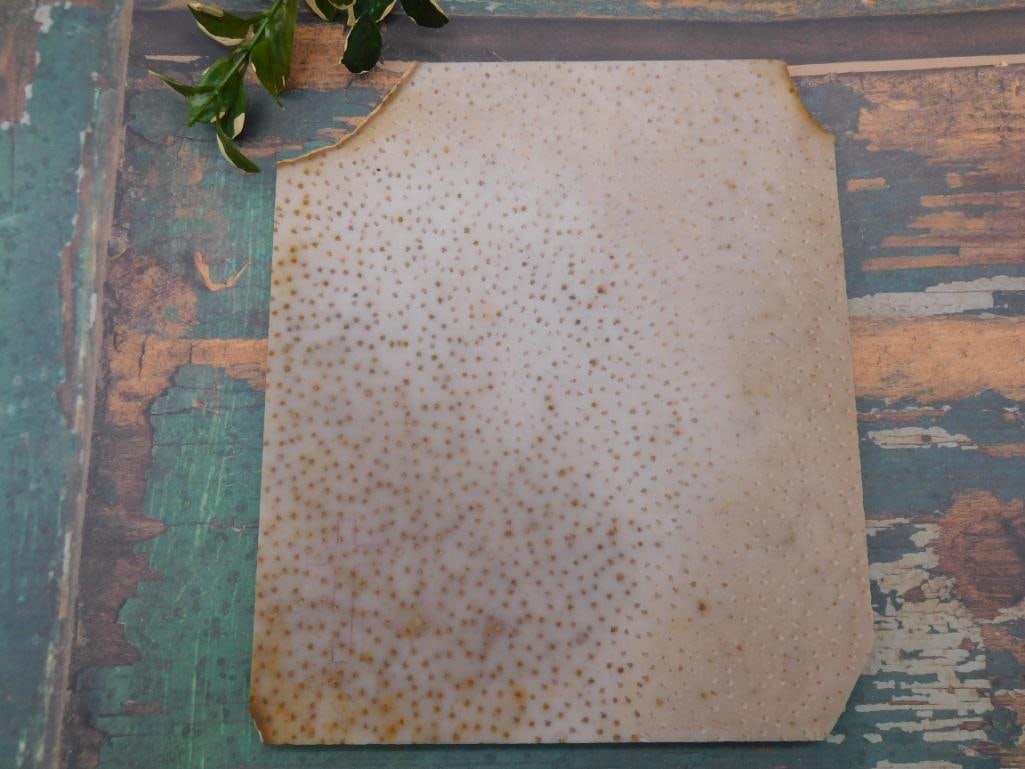 PETRIFIED PALM WOOD SLAB ROCK STONE LAPIDARY SPECIMEN: WELCOME TO HATMAN AUCTIONS! SPECIAL NOTICE: Please see photos for measurements and descriptions. ***Yes, we have in house shipping with MANY REPEAT CUSTOMERS because of our streamlined service.
