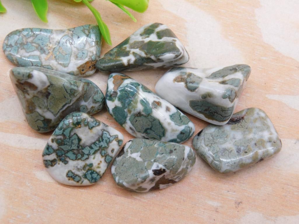 CAMOFLAUGE AGATE ROCK STONE LAPIDARY SPECIMEN (1 of 2)