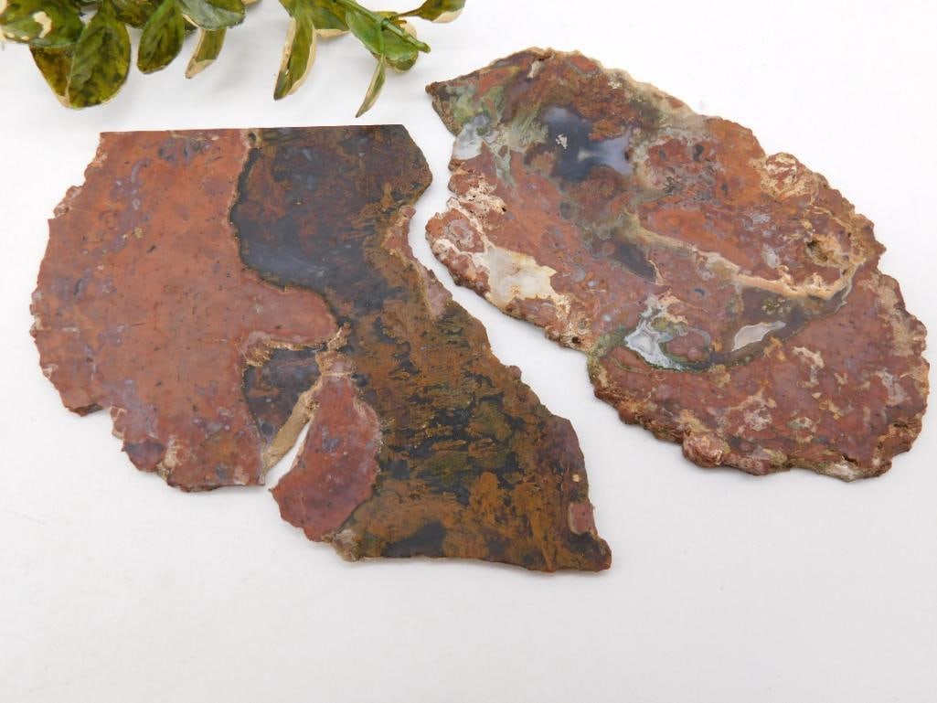 SLABS ROCK STONE LAPIDARY SPECIMEN: WELCOME TO HATMAN AUCTIONS! SPECIAL NOTICE: Please see photos for measurements and descriptions. ***Yes, we have in house shipping with MANY REPEAT CUSTOMERS because of our streamlined service.