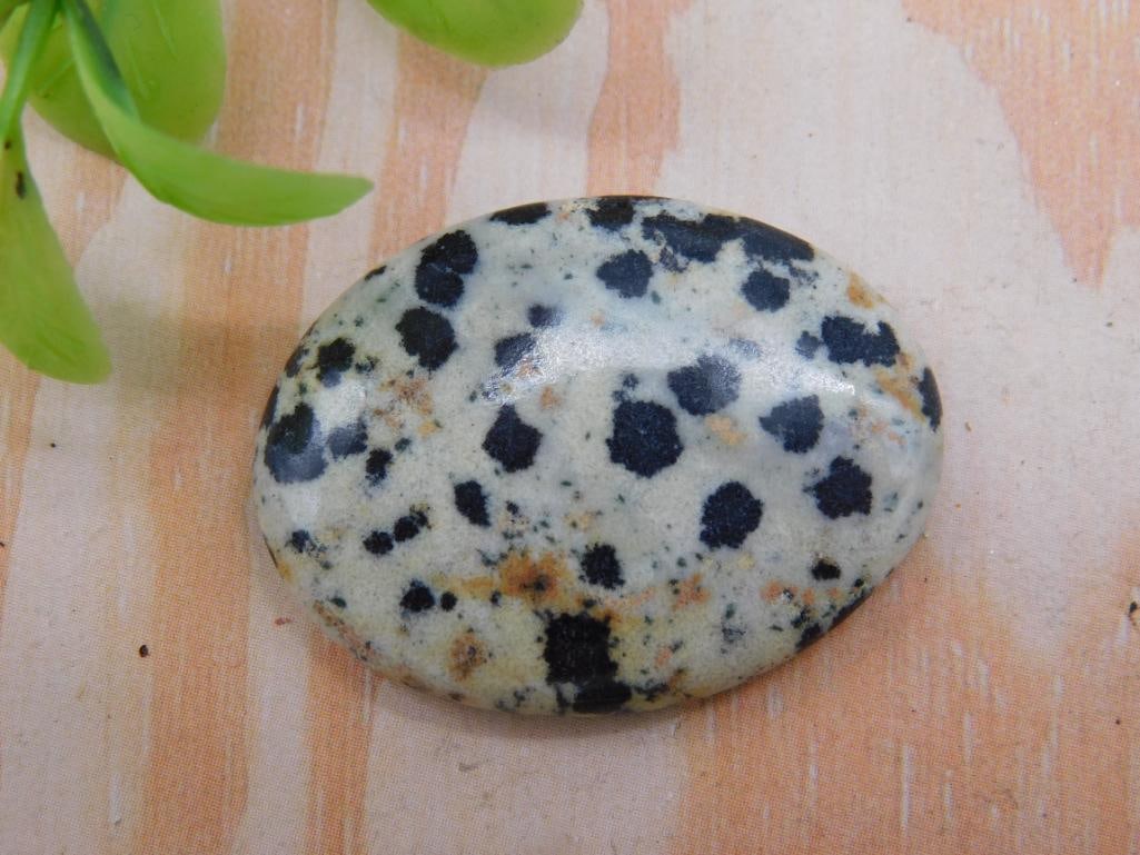 DALMATION JASPER CABOCHON ROCK STONE LAPIDARY SPECIMEN: WELCOME TO HATMAN AUCTIONS! SPECIAL NOTICE: Please see photos for measurements and descriptions. ***Yes, we have in house shipping with MANY REPEAT CUSTOMERS because of our streamlined service.