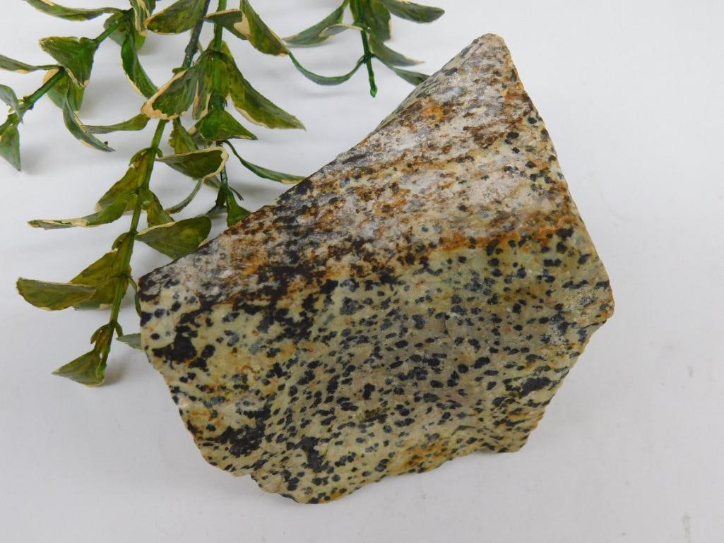 DALMATION JASPER ROCK STONE LAPIDARY SPECIMEN: WELCOME TO HATMAN AUCTIONS! SPECIAL NOTICE: Please see photos for measurements and descriptions. ***Yes, we have in house shipping with MANY REPEAT CUSTOMERS because of our streamlined service. ****We