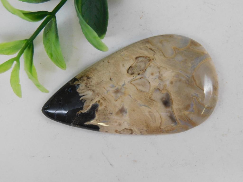 PETRIFIED PALM WOOD CABOCHON ROCK STONE LAPIDARY SPECIMEN: WELCOME TO HATMAN AUCTIONS! SPECIAL NOTICE: Please see photos for measurements and descriptions. ***Yes, we have in house shipping with MANY REPEAT CUSTOMERS because of our streamlined service. ****We