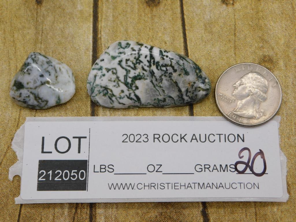 TREE AGATE ROCK STONE LAPIDARY SPECIMEN - 2