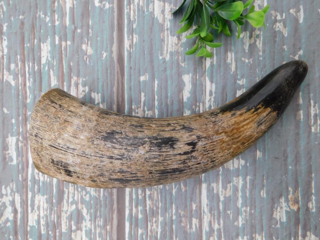 DRINKING HORN ROCK STONE LAPIDARY SPECIMEN: WELCOME TO HATMAN AUCTIONS! SPECIAL NOTICE: Please see photos for measurements and descriptions. ***Yes, we have in house shipping with MANY REPEAT CUSTOMERS because of our streamlined service.