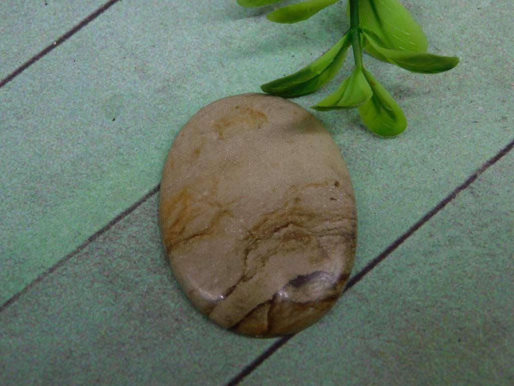 JASPER CABOCHON ROCK STONE LAPIDARY SPECIMEN: WELCOME TO HATMAN AUCTIONS! SPECIAL NOTICE: Please see photos for measurements and descriptions. ***Yes, we have in house shipping with MANY REPEAT CUSTOMERS because of our streamlined service.
