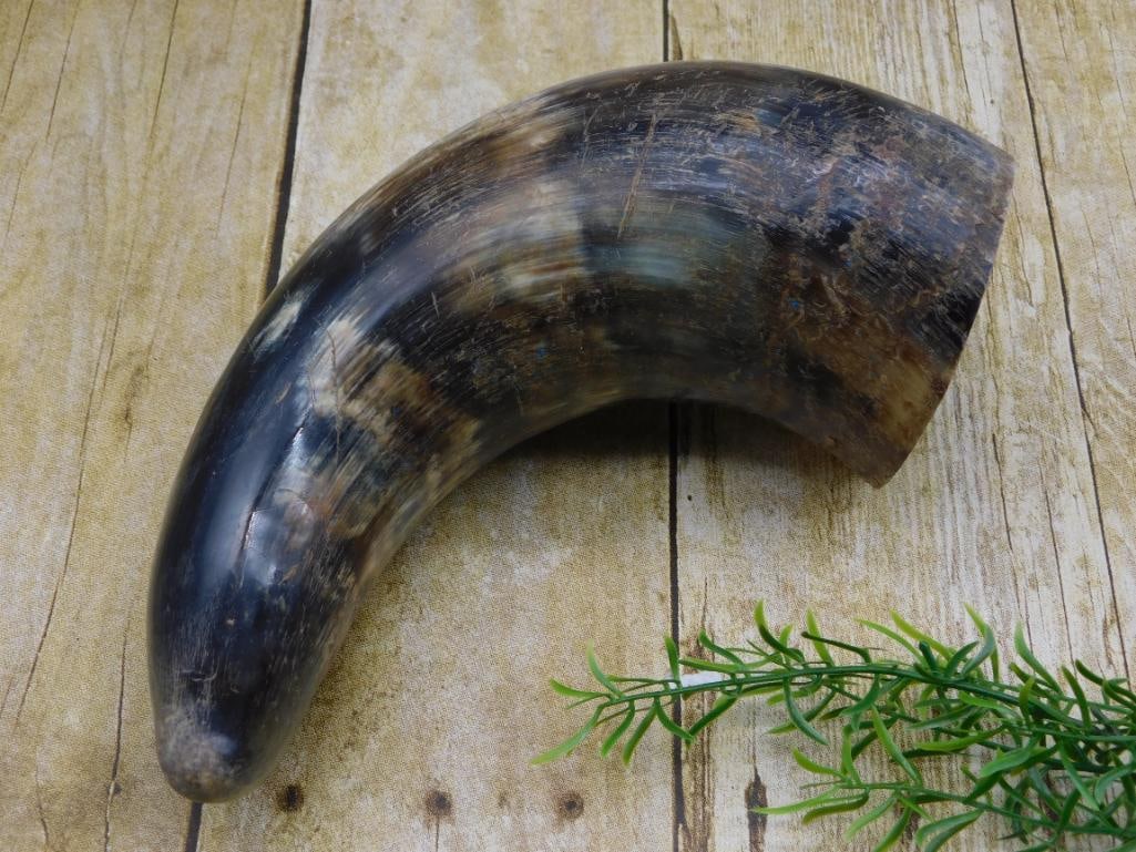 DRINKING HORN ROCK STONE LAPIDARY SPECIMEN: WELCOME TO HATMAN AUCTIONS! SPECIAL NOTICE: Please see photos for measurements and descriptions. ***Yes, we have in house shipping with MANY REPEAT CUSTOMERS because of our streamlined service. ****We