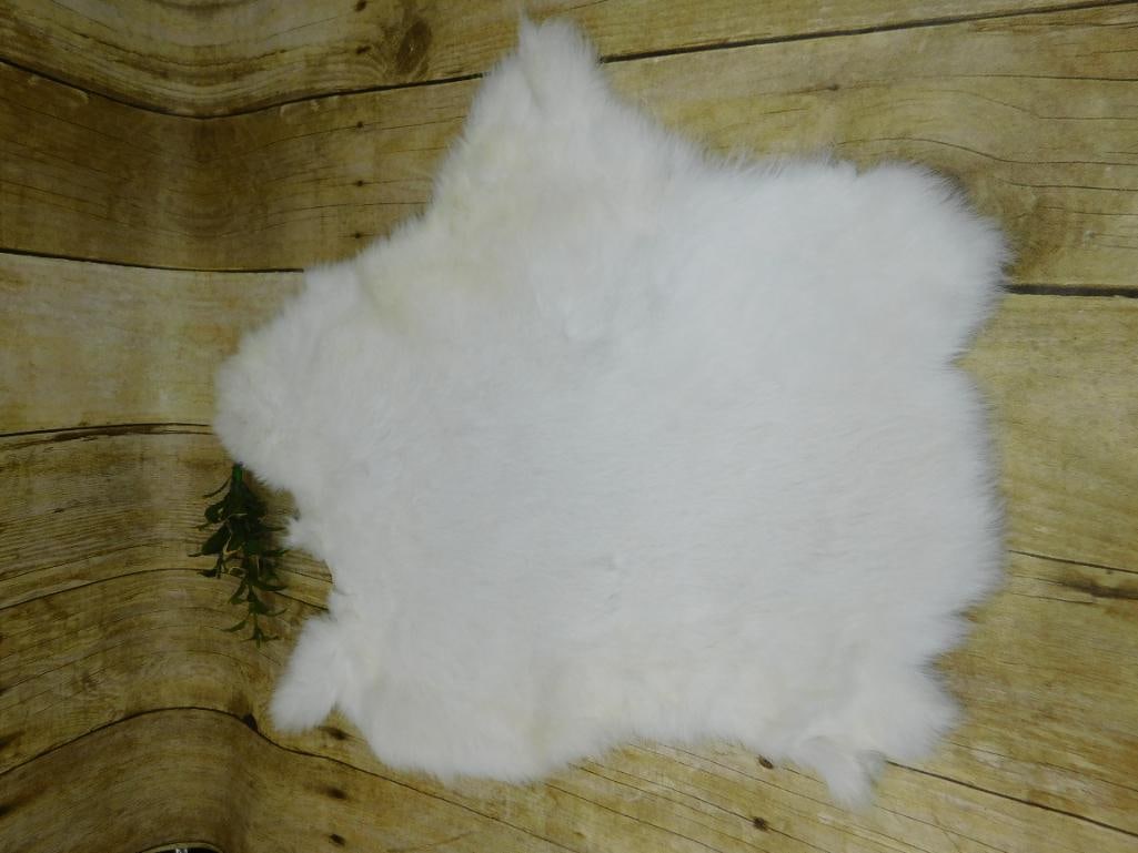 RABBIT PELT: WELCOME TO HATMAN AUCTIONS! SPECIAL NOTICE: Please see photos for measurements and descriptions. ***Yes, we have in house shipping with MANY REPEAT CUSTOMERS because of our streamlined service.