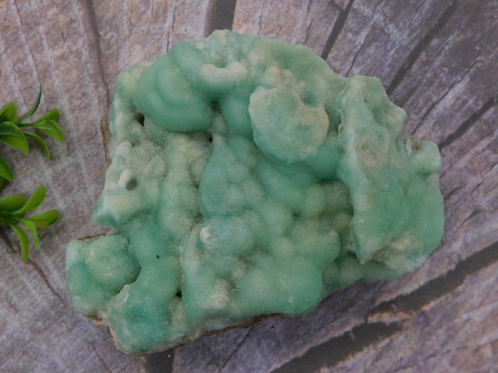 CARIBBEAN BLUE Botryoidal Mineral Specimen Rock Stone Lapidary Specimen: Green Aventurine Botryoidal Mineral Specimen Rock Stone Lapidary Specimen. This exceptional display-quality mineral features striking pale green translucent formations with characteristic botryoidal (