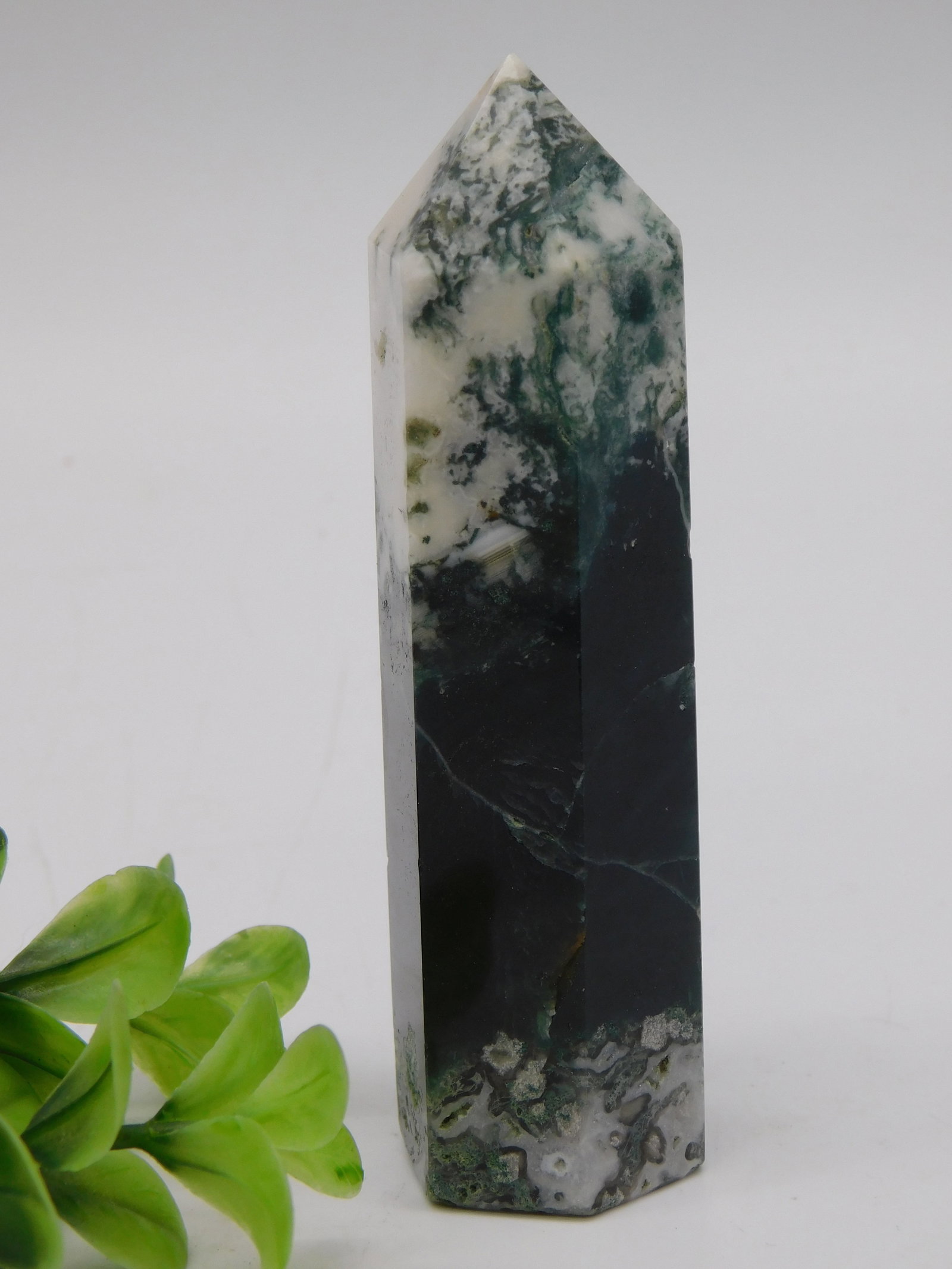 Polished Moss Agate Pencil Point Terminated Mineral Rock Stone Lapidary Specimen: Polished Moss Agate Pencil Point Terminated Mineral Rock Stone Lapidary Specimen. This striking dendritic agate features a cream-white matrix with dramatic black and forest-green moss-like inclusions 