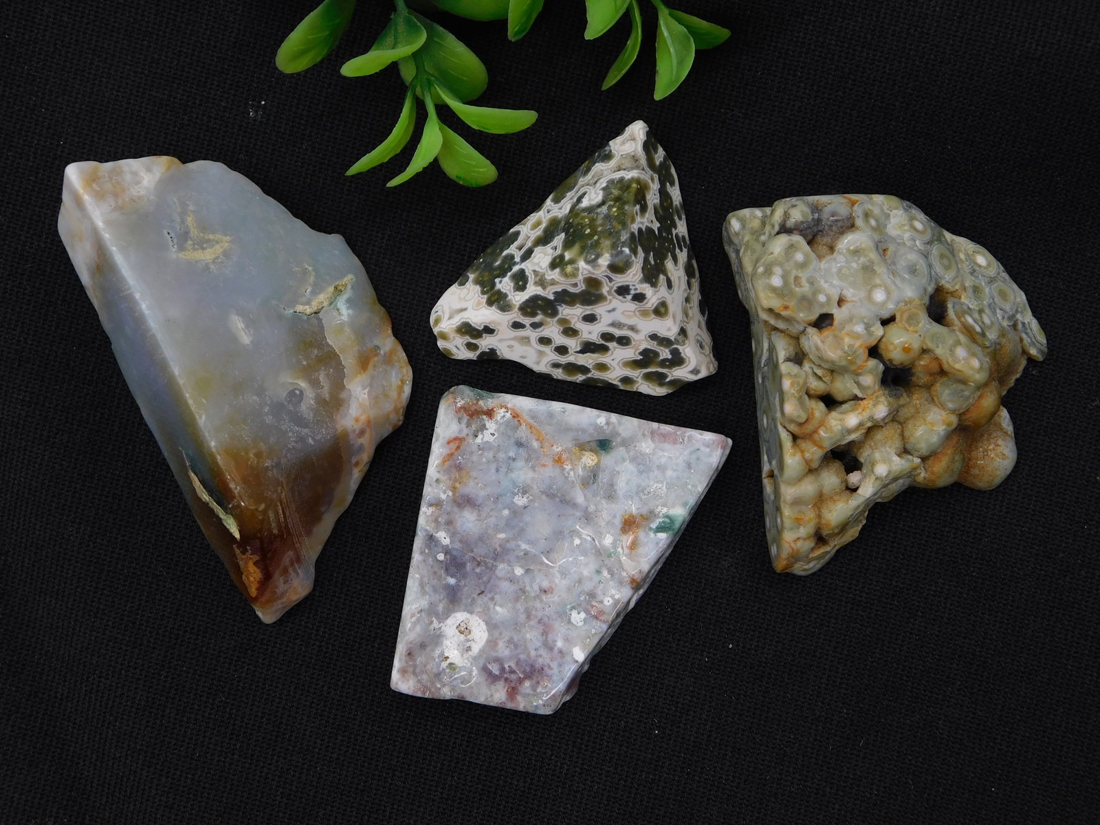 OCEAN JASPER Specimens Collection Including Agate Fossils Pumice Chalcedony Rock Stone Lapidary (1 of 3)