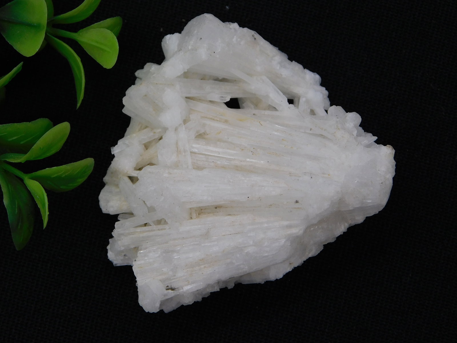 Selenite Gypsum Crystal Specimen Natural White Transparent Mineral Rock Stone Lapidary Specimen (1 of 2)
